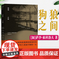 狗狼之间 [加]萨沙·索科洛夫 著 后现代主义小说诗人代表作 长篇小说 中国工人出版社