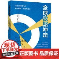 全球数据冲击:信息过载时代的战略模糊、欺骗与意外 [美] 罗伯特·曼德尔 中国工人出版社