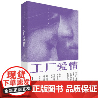 工厂爱情故事 男女爱情 丁燕 著 中国工人出版社 现代当代长篇小说故事书籍