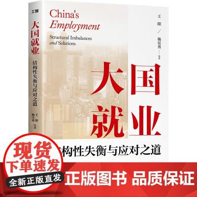 大国就业:结构性失衡与应对之道 应对策略关键窗口期经济管理体面劳动全面发展就业不充分矛盾 中国工人出版社人口与就业人力资