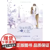 如果相遇是天意 宋方金友情男空警与女总裁言情小说女攻女强军人职业恋警察空警察