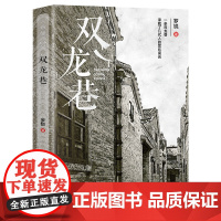 双龙巷 罗锐著 中国工人出版社店 正版新书 改革开放浪潮背景下的悲欢离合