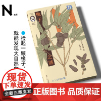 轻读文库第三季 橡子之谜:盛口满科学散文集 轻读N文库 | 捡起一颗橡子,就能发现大自然的奇迹 博物学入门 自然科普 手