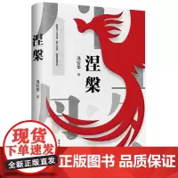 涅槃 冯衍华著 中国工人出版社 长篇小说中国现代当代小说 散文小说 职场励志小说