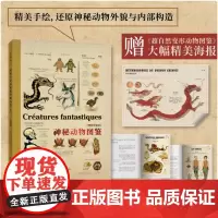 博物学家的神秘动物图鉴(新版) 西方版《山海经》超大开本,赠大幅高清海报《神奇动物在哪里》《魔兽》等角色原型 未读出品