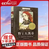 [央视网]长青藤国际大奖小说 第十三辑 野丫头凯蒂 每一天都是新的冒险 都有无限的可能TY