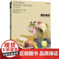 经典全集 精彩绝色水粉书籍临摹教程中国美院杭州名师突围2范本sh