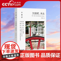 [央视网]小日子 欠削吧 木头 木工雕刻书 手工DIY木工小工具QD木雕木工制作摆件物件 零基础初学者雕刻入门指南小饰品