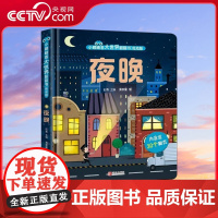 [央视网]夜晚 低幼版 小眼睛看大世界翻翻书 多个主题场景 向孩子介绍夜晚 满足孩子的好奇心 QH