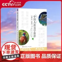 [央视网]中国儿童文学精粹动物小说新锐卷 本书遴选了诸多一线受欢迎的儿童文学作家的作品全面立体地呈现中国儿童文学新时代G