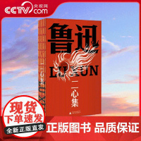 [央视网]二心集 鲁迅文库本 以1938年传世母本为底 左翼旗手呼喊言论自由之杂文集 收录38篇叛逆作品 反抗霸权 SS