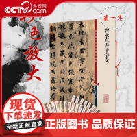 [央视网]智永真书千字文 中国碑帖彩色放大本 楷书毛笔书法字帖临摹墨迹本书籍 上海辞书出版社 DD