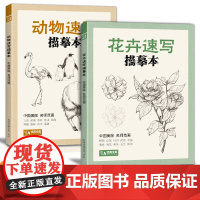 经典全集 动物速写描摹本 零基础画画入门新手自学教程书籍线描sh