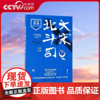 [央视网]大宋北斗司 下 湖南文艺出版社 9787540484019 TJ