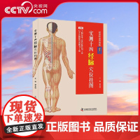 [央视网]实测十四经脉挂图 ZK