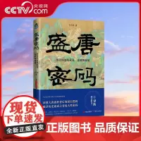 [央视网]盛唐密码 历史深处的成见 意见和预见 丁自生著 9787514397659现代出版社XD