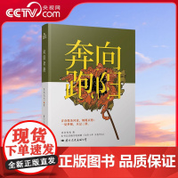 [央视网]向阳奔跑 青春像条河流 蜿蜒哀愁 一觉梦醒 水过三秋 本书已改编为电视剧 与你十年 予我半生 GW