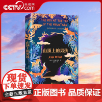 [央视网]山顶上的男孩 我们终此一生都在寻找失去的那个自己 《穿条纹睡衣的男孩》作者又一震撼之作XF