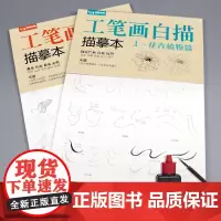 [送笔墨碟]工笔画白描描摹本上下2册/基础训练篇+强化提高篇sh