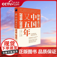 [央视网]中国又五年 2010~2015 财新看见 财新传媒以专业深入的采访 为你看清新常态 掌握大趋势提供助力 王烁