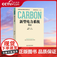 [央视网]新型电力系统导论 ZK