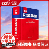 [央视网]实用成语大词典 版 中小学生通用汉语成语大词典语文学习成语积累 中小学生常备字词典实用工具书 MS