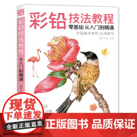美学大师 彩铅技法教程 入门自学零基础临摹本教材书籍 专业手绘sh