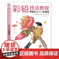美学大师 彩铅技法教程 入门自学零基础临摹本教材书籍 专业手绘sh