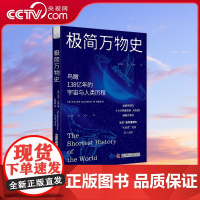 [央视网]极简万物史 鸟瞰138亿年的宇宙与人类历程 ZK
