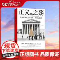 [央视网]正义之殇 击溃华尔街的人 美国传奇联邦检察官反思犯罪 处罚与法治 能真正伸张正义的人 而不是法律 TJ