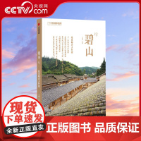 [央视网]碧山13 建筑师在乡村续 当高高在上的职业建筑师遇到土生土长的农民工匠 会给乡村建设描画出怎样的未来图景DL