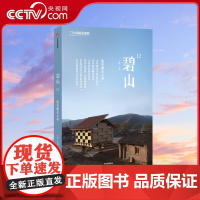 [央视网]碧山12 建筑师在乡村 当高高在上的职业建筑师遇到土生土长的农民工匠 会给乡村建设描画出怎样的未来图景DL
