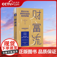 [央视网]财富流 英 罗杰·詹姆斯·汉密尔顿著 金融投资理财 经济学原理 财富知识的底层逻辑ZK