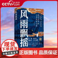 [央视网]风雨飘摇 晚清名臣立身处世之道 曾国藩 胡林翼 左宗棠等的为人处世显真学问小细节透出大智慧 SS