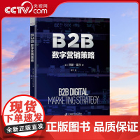 [央视网]B2B数字营销策略 全链条解析数字营销的实操指南ZK