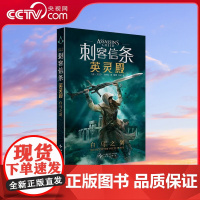 [央视网]刺客信条 英灵殿 白马之剑 艾尔莎 顺内松著 踏上传奇刺客之旅 解密亚瑟王幕后传说 现象级游戏大作 SS