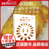 [央视网]琥珀千年 探索琥珀背后的历史文化与科学奥秘 带你领略琥珀从形成到收藏的全过程深度解析 琥珀的科学科普读物书籍