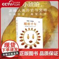 [央视网]琥珀千年 探索琥珀背后的历史文化与科学奥秘 带你领略琥珀从形成到收藏的全过程深度解析 琥珀的科学科普读物书籍