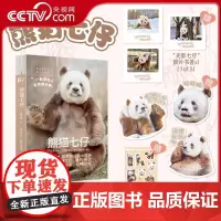 [央视网]熊猫七仔 全球唯一圈养棕白色大熊猫 走近金疙瘩的松弛熊生 领略七大爷的超凡魅力 阮珍奇 SR