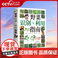 [央视网]野菜识别与利用指南 常见野菜野果野外识别速查图鉴植物分类生长习性野菜野果的食用方法野果识别与利用指南HN