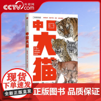 [央视网]中国大猫 吕植著中国国家地理科普读物 猫图鉴猫百科全书猫科生物图鉴猫科动物图鉴中信出版社赠明信片DL