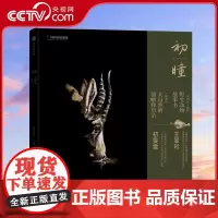 [央视网]初瞳 我和我的野生动物朋友DL