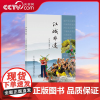 [央视网]江城非遗 广东阳江市江城区 非物质文化遗产 的名录手册 历史起源 发展到如今的保护传承 GD
