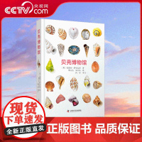 [央视网]贝壳博物馆 贝壳是软体动物身体外部的硬壳 千百年来它那动人的形态和美丽的颜色让无数人为之着迷 ZK