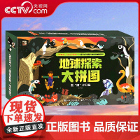 [央视网]地球全景大视界 地球探索大拼图 儿童文学 一二年级小学生课外阅读 电子工业出版社 QH