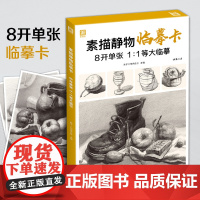 2021新书 素描静物临摹卡8开临摹范本组合画册集美术基础单个罐子sh