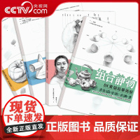 [央视网]素描临摹画册全集四册 几何体 单体静物 组合静物 人物头像 绘画 单张活页 学生零基础素描教材 WJ