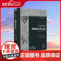 [央视网]尼克莱代斯素描的自然之道 百年西方素描教学法的开山之作 高效的绘画观察法 提升观察力的训练 素描绘画指南工具书