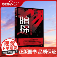 [央视网]暗探 失落的真相 十年记者生涯 从未公开的神秘采访手记 网络总点击1300万次 超自然解密 历史 案件 人物
