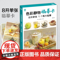 2021新书 色彩静物临摹卡 8开临摹范本水粉起步色稿对应入门基础sh